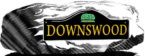 Downswood Parish Council